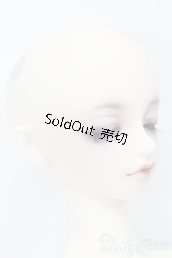 画像3: SD16女の子/フルチョイス:F-66 S-25-01-19-003-GN-ZS (3)