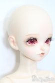 画像3: Peak's Woods/FOB Mori Moth S-25-04-20-549-GN-ZS (3)