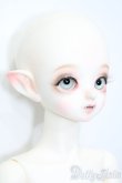 画像3: PEAKS WOODS/FOB Vampire Little Yeru S-25-04-20-532-GN-ZS (3)