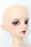 画像3: SD16女の子/フルチョイス:F-68 S-25-04-20-560-GN-ZS (3)