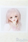 画像1: SDM女の子/のあ PSホワイトVer. S-25-04-06-410-GN-ZS (1)