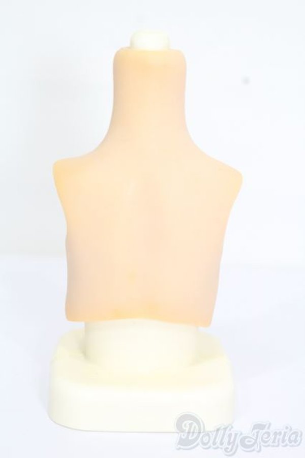 画像2: MDD/上半身パーツ S-25-04-27-366-GN-ZS (2)