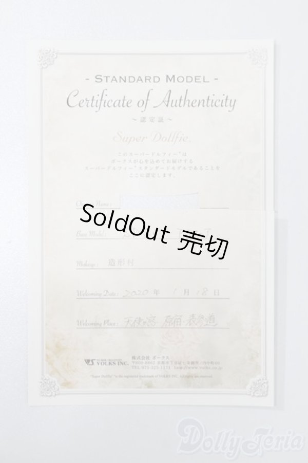 画像8: SD女の子/まい S-25-02-23-001-GN-ZS (8)