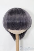 画像1: 8-9inch/ウィッグ S-25-03-30-081-GN-ZS (1)