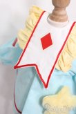 画像4: MDD/OF:衣装セット S-25-04-13-021-GN-ZS (4)