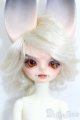 画像: DreamValley/Aiden S-25-05-11-003-GN-ZS