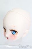 画像3: DD/DDH-27 えびふりゃーい！様カスタムヘッド S-25-05-11-041-GN-ZS (3)