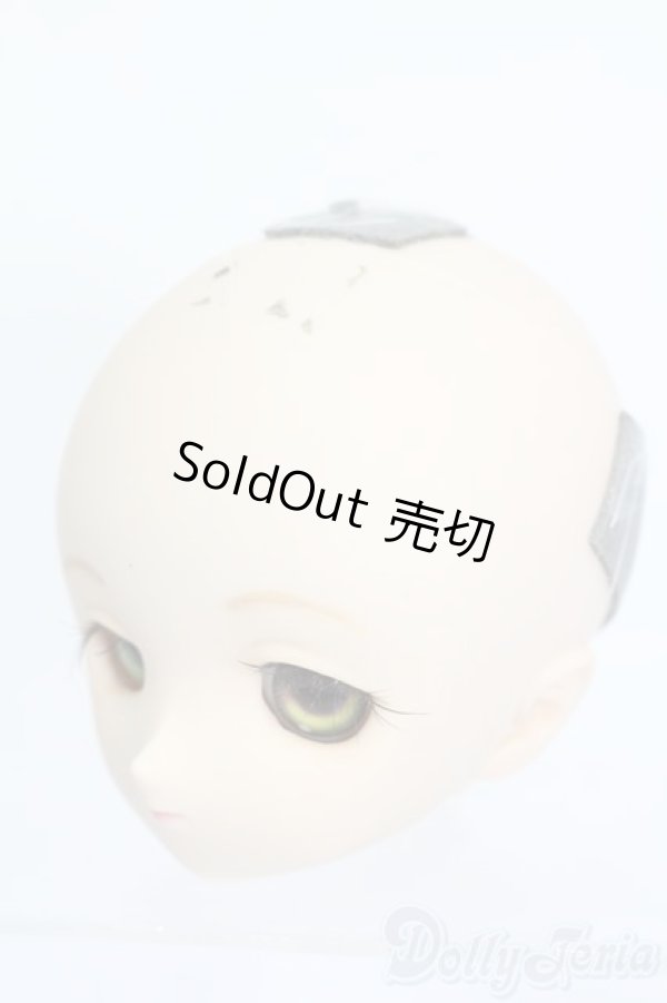 画像2: DD/DDH-01 ヘッド S-25-11-02-507-GN-ZS (2)