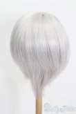 画像2: 8-9inch/ウィッグ S-25-05-18-294-GN-ZS (2)