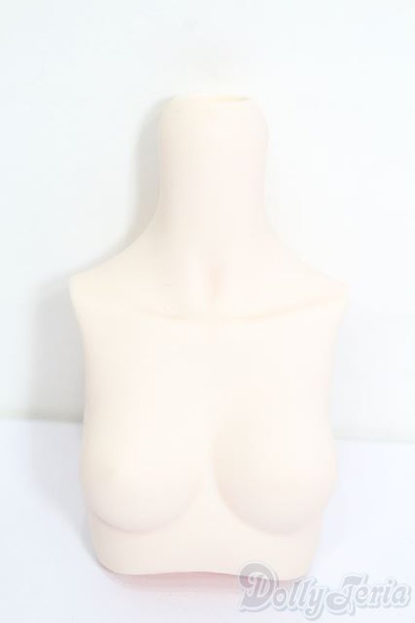 画像1: MDD/上半身パーツ S-25-05-18-061-GN-ZS (1)