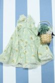画像2: 【新宿マルイアネックス店 店頭販売商品】MDD/OF:ワンピース 2100140000019001-ZM (2)