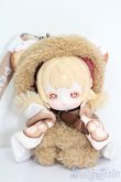 画像4: PENNY'S BOX/ANTU(アンティーユ):可愛いプチ ブラインドぬいぐるみ シリーズ S-25-05-18-025-GN-ZS (4)