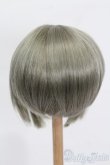 画像2: 8-9inch/ウィッグ S-25-05-18-290-GN-ZS (2)