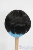 画像2: 6-7inch/ウィッグ S-25-05-18-277-GN-ZS (2)