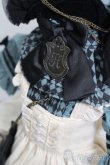 画像4: SDM＆MSD/OF:DollHearts製衣装セット Alice fairyland S-25-05-18-246-GN-ZS (4)