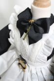 画像4: MDD/OF:衣装セット S-25-05-18-253-GN-ZS (4)