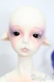 画像: Doll chateau/Ryan S-25-05-18-201-GN-ZS