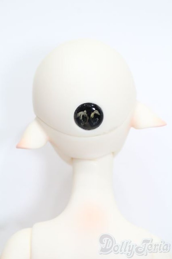 画像6: Doll chateau/Ryan S-25-11-02-494-GN-ZS (6)