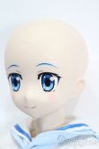 画像4: azone/1/3ハイブリッドアクティブフィギュアNo.052『Project NIPAKO』ニパ子(セリーヌ・P・ニッパーヌ) S-25-05-18-203-GN-ZS (4)