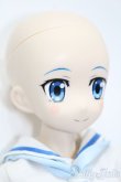 画像5: azone/1/3ハイブリッドアクティブフィギュアNo.052『Project NIPAKO』ニパ子(セリーヌ・P・ニッパーヌ) S-25-05-18-203-GN-ZS (5)