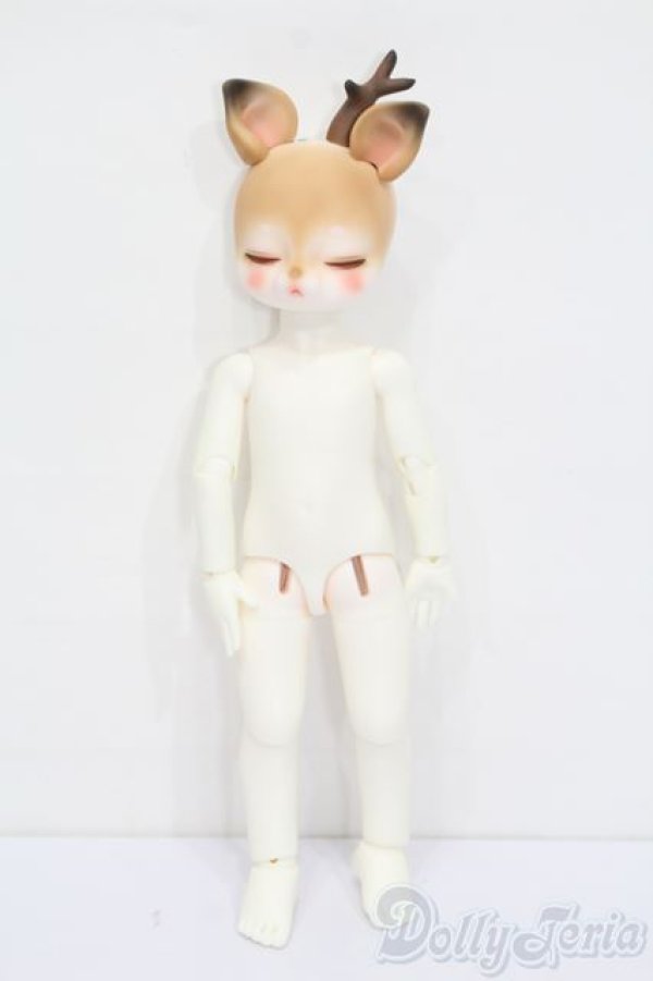 画像4: PIPOS/Deer Rudy S-25-10-05-431-GN-ZS (4)