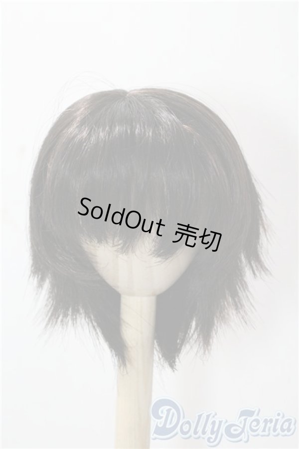 画像1: 9-10inch/ウィッグ U-25-10-14-023-GN-ZU (1)