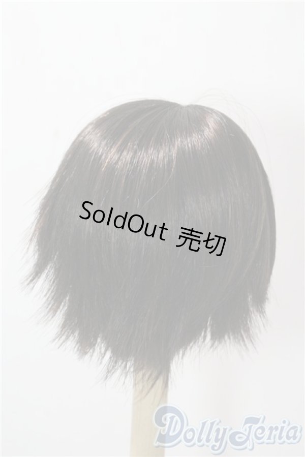 画像2: 9-10inch/ウィッグ U-25-10-14-023-GN-ZU (2)