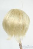 画像2: 9-10inch/ウィッグ Y-26-01-21-218-GN-ZY (2)