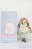 画像6: IMOMODOLL/1/6 Guru S-25-05-25-104-GN-ZS (6)