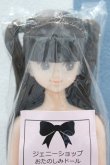 画像1: 【新宿マルイアネックス店 店頭販売商品】ジェニー/ジュディ 2100140000019659-ZM (1)