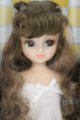 画像: 【新宿マルイアネックス店 店頭販売商品】リカちゃん/2019年日本橋・神戸三宮共通モデル 2100140000019664-ZM