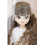 画像: 【新宿マルイアネックス店 店頭販売商品】リカちゃん/2014年度版日本橋アイコンモデル 2100140000019665-ZM
