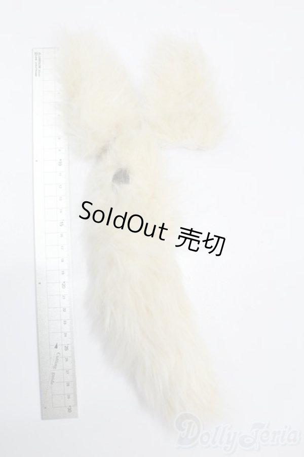 画像2: DD/OF:小物 S-25-06-01-085-GN-ZS (2)