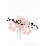 画像: SD/OF:小物 S-25-11-16-546-GN-ZS