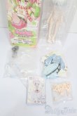 画像7: 自由主張スタジオ/WELCOME GIRLS：デジタルペットの仮想世界 S-25-06-01-213-GN-ZS (7)