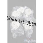 画像: 自由主張スタジオ/WELCOME GIRLS：デジタルペットの仮想世界 髪パーツ S-25-06-01-254-GN-ZS