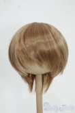 画像1: 9inch/ウィッグ Y-25-12-17-206-GN-ZY (1)