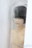 画像2: 六分の一男子図鑑/B2312 エイト S-25-06-22-022-GN-ZS (2)