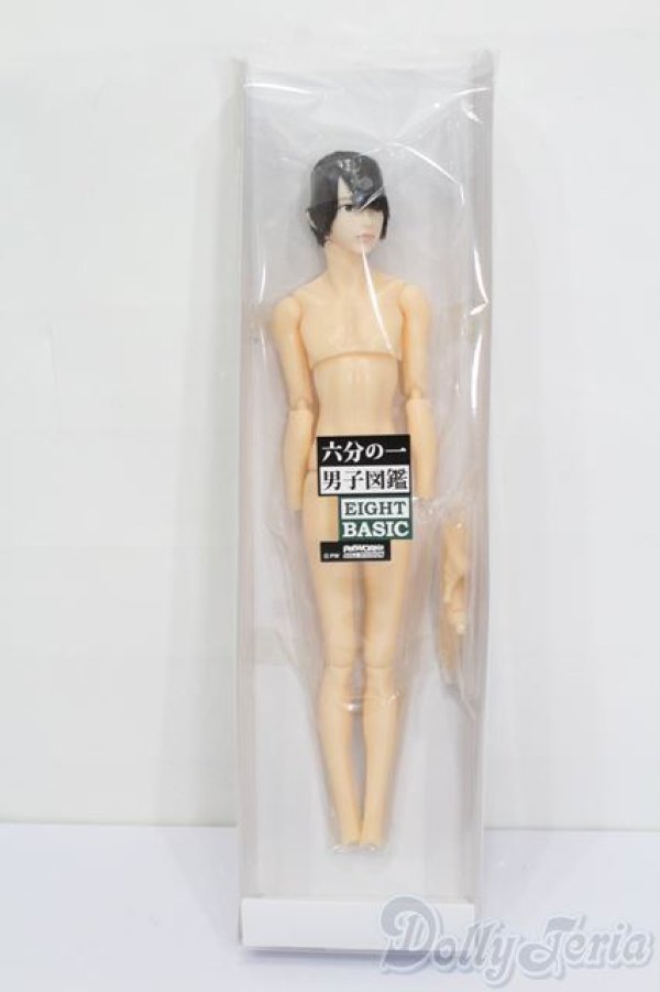 画像4: 六分の一男子図鑑/B2312 エイト S-25-06-22-022-GN-ZS (4)