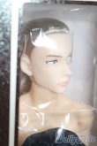画像2: petworks/六分の一男子図鑑ナイン ae [KABA] S-25-06-22-021-GN-ZS (2)