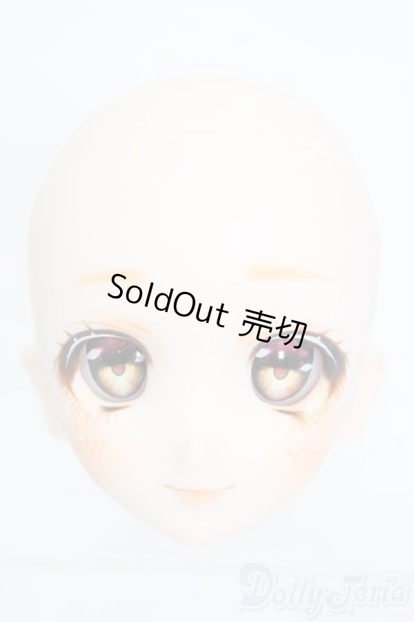 画像1: DDH-06/カスタムヘッド S-25-11-02-508-GN-ZS (1)