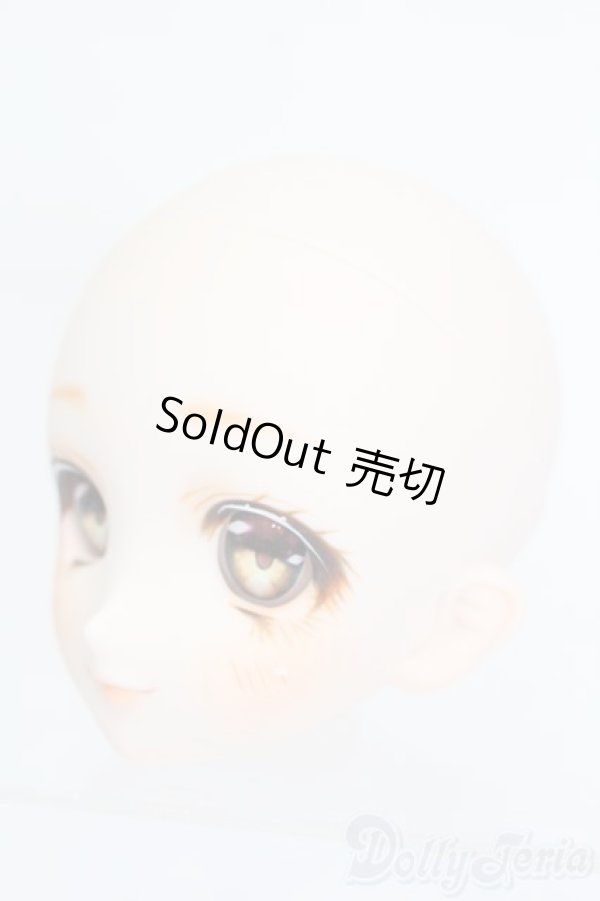 画像2: DDH-06/カスタムヘッド S-25-11-02-508-GN-ZS (2)