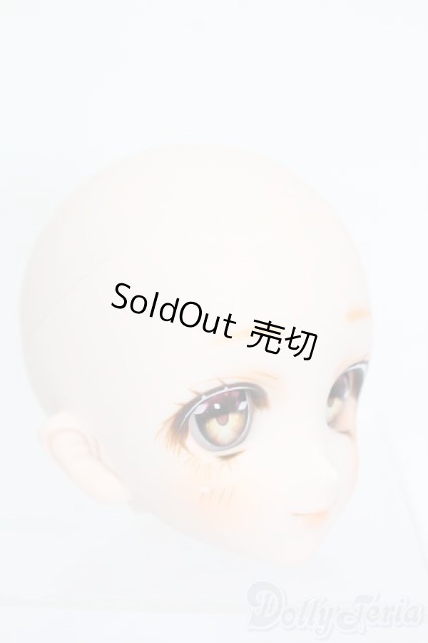 画像3: DDH-06/カスタムヘッド S-25-11-02-508-GN-ZS (3)