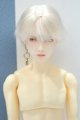 画像: 【新宿マルイアネックス店 店頭販売商品】六分の一男子図鑑/エイト カスタム 2100140000020459-ZM