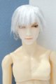 画像: 【新宿マルイアネックス店 店頭販売商品】六分の一男子図鑑/ナイン カスタム 2100140000020460-ZM