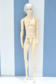 画像2: 【新宿マルイアネックス店 店頭販売商品】六分の一男子図鑑/ナイン カスタム 2100140000020460-ZM (2)
