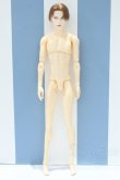 画像2: 【新宿マルイアネックス店 店頭販売商品】六分の一男子図鑑/ナイン カスタム 2100140000020461-ZM (2)