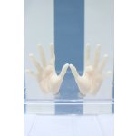 画像: 【新宿マルイアネックス店 店頭販売商品】DD/メンズハンドパーツ 2100140000020493-ZM