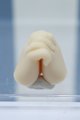 画像: 【新宿マルイアネックス店 店頭販売商品】MDD/ハンドパーツ 2100140000020575-ZM