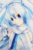 画像1: DD/雪ミク S-25-06-08-101-GN-ZS (1)